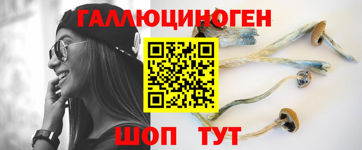Псилоцибиновые грибы Psilocybe Среднеуральск